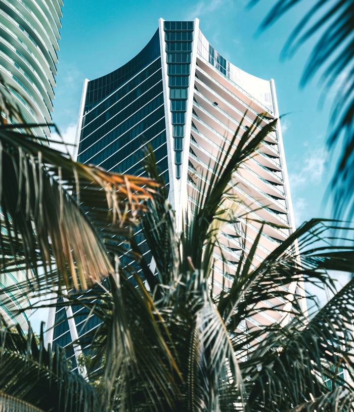 Florida Buildings and Foliage
