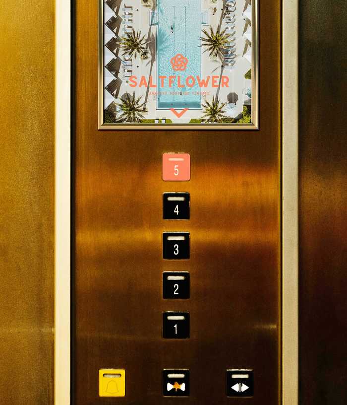 Saltflower elevator ads
