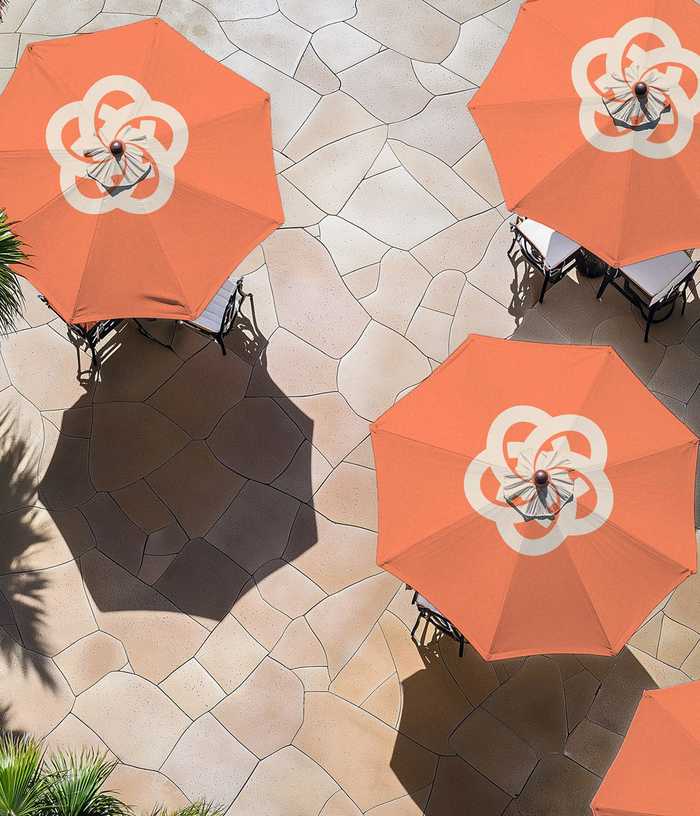 Saltflower umbrellas