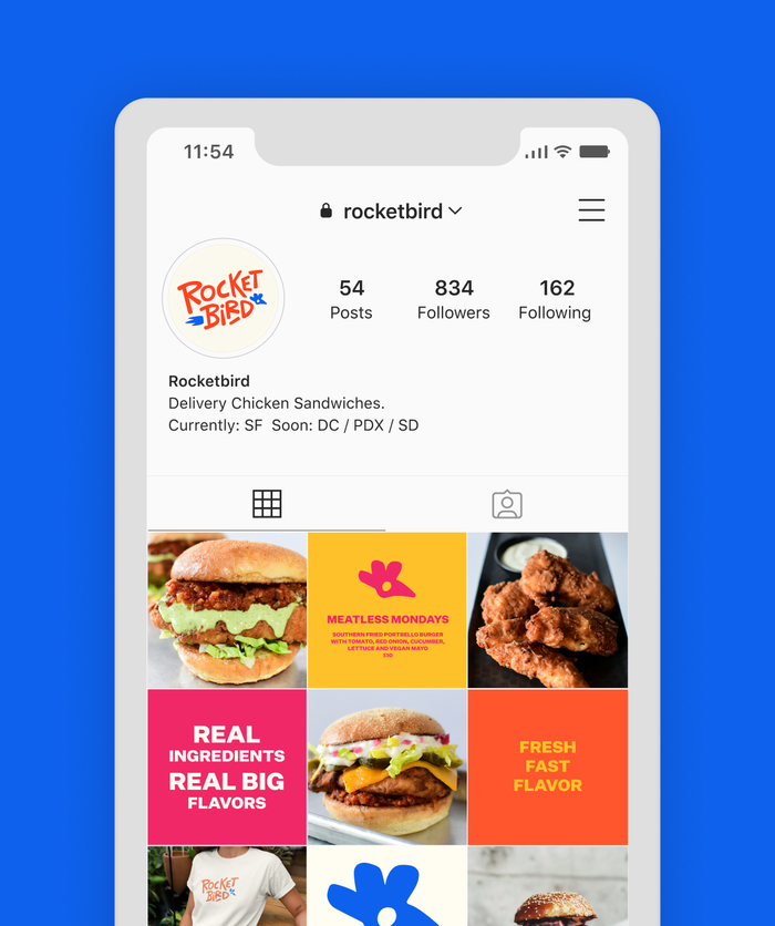 iphone screen showing Rocketbird instagram overview page